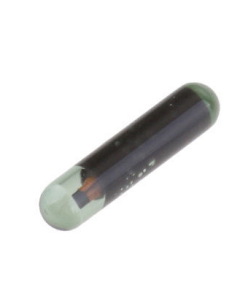T5 Glass